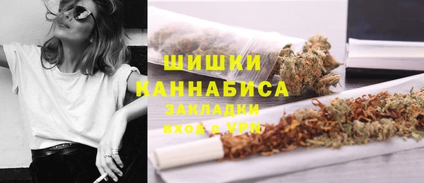 дурь Покачи